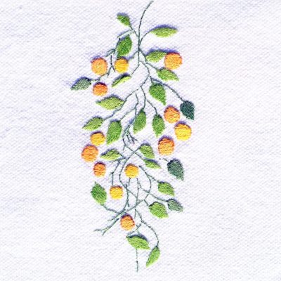 Patricia Van Ness Embroidery: Vines and Fruit #215